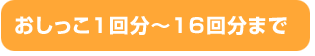 おしっこ1回分～16回分まで